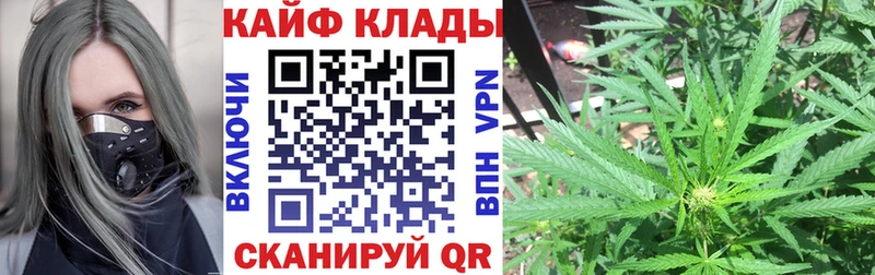 Магазин наркотиков Новотроицк ГАШ  Конопля  АМФЕТАМИН  A-PVP  Псилоцибиновые грибы  КОКАИН  МЕФ 