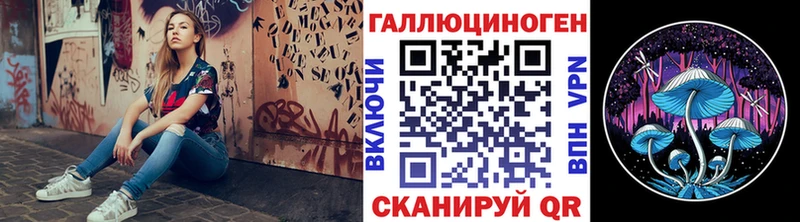 МЕГА ONION  Новотроицк  Галлюциногенные грибы мицелий 